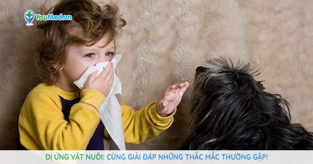 Dị ứng vật nuôi: Cùng giải đáp những thắc mắc thường gặp!