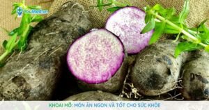 Khoai mỡ: Món ăn ngon và tốt cho sức khỏe