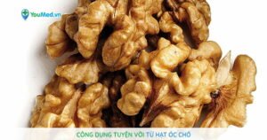 Công dụng tuyệt vời từ hạt óc chó