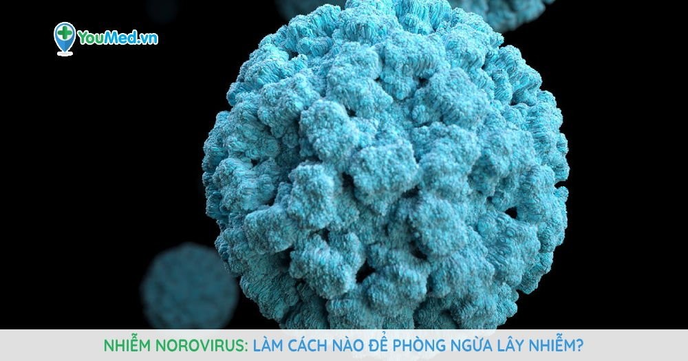 Nhiễm norovirus: Làm cách nào để phòng ngừa lây nhiễm?
