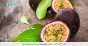 Chanh dây và những công dụng tuyệt vời