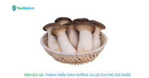 Nấm đùi gà: Lợi ích sức khỏe và các món ngon dễ làm