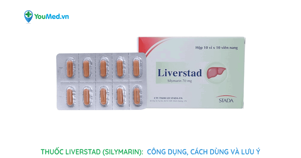 Thuốc Liverstad (silymarin): công dụng, cách dùng và lưu ý