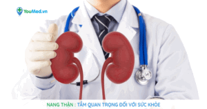 Nang thận và Tầm quan trọng với sức khoẻ.