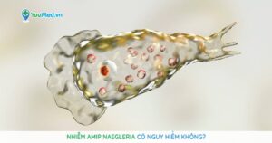 Nhiễm amip Naegleria có nguy hiểm không?