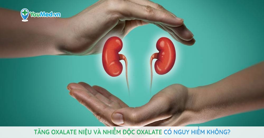 Tăng oxalate niệu và nhiễm độc oxalate có nguy hiểm không?