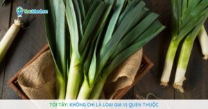 Tỏi tây (Hành ba rô): Không chỉ là loại gia vị quen thuộc