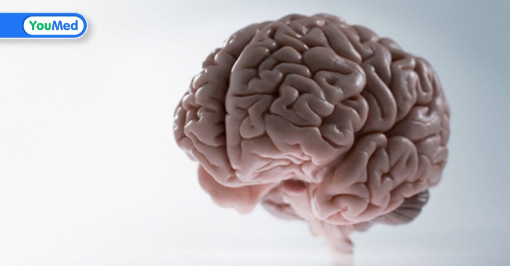 Lao màng não: Nguyên nhân, triệu chứng, điều trị và phòng bệnh