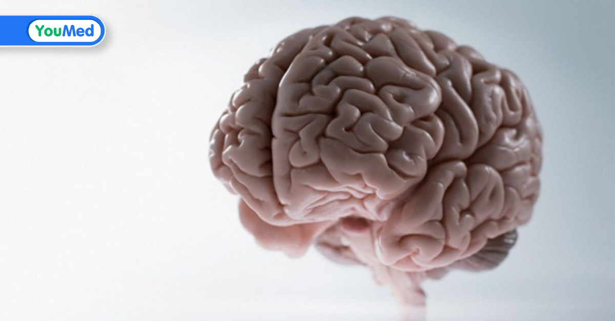 Các triệu chứng và biểu hiện chính của bệnh lao màng não là gì?
