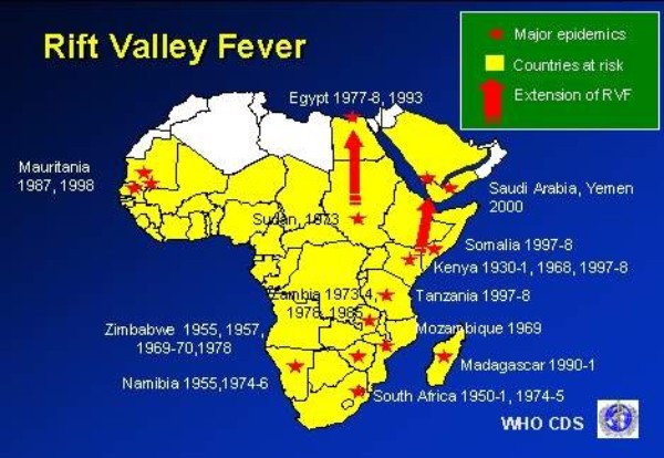 Bản đồ các nước công bố dịch sốt thung lũng