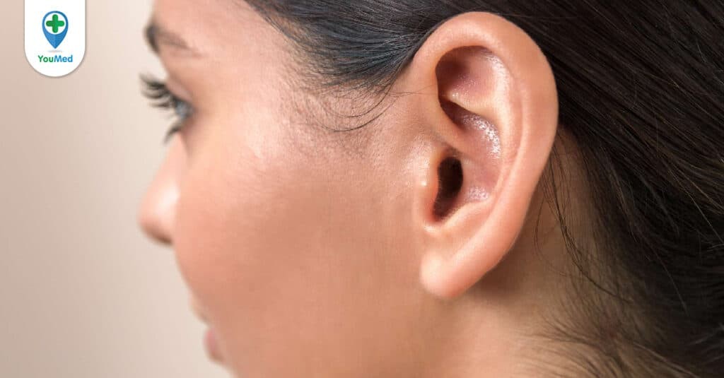 Vành tai: Cấu tạo, chức năng và bệnh lý thường gặp
