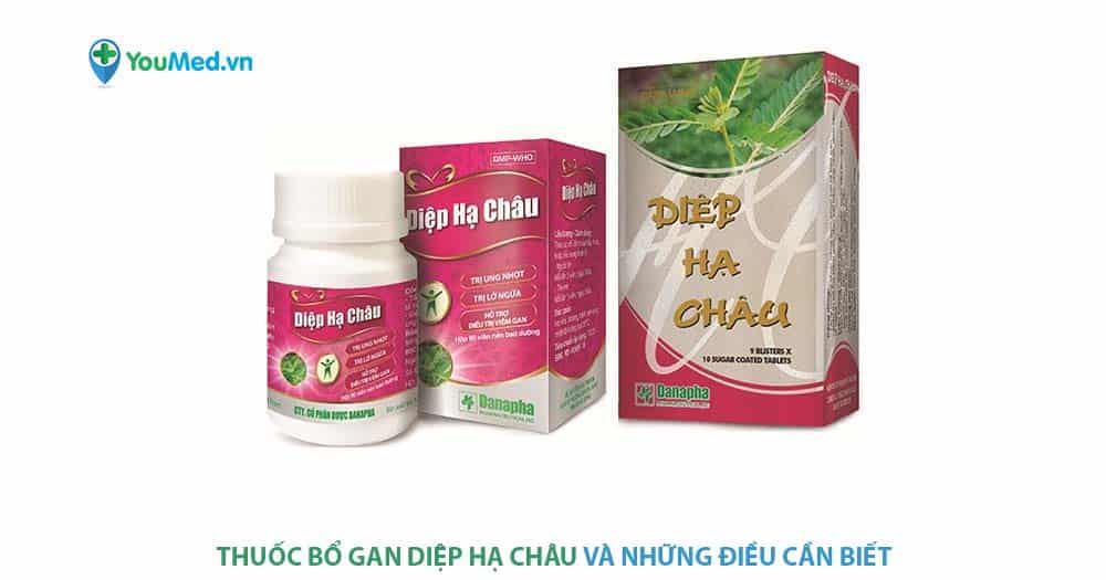 Thuốc Diệp hạ châu có công dụng gì?
