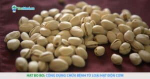 Hạt bo bo (Ý dĩ): Công dụng chữa bệnh từ loại hạt độn cơm