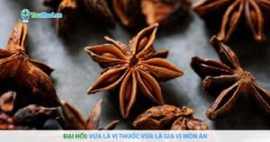 Đại hồi: Vừa là vị thuốc vừa là gia vị món ăn