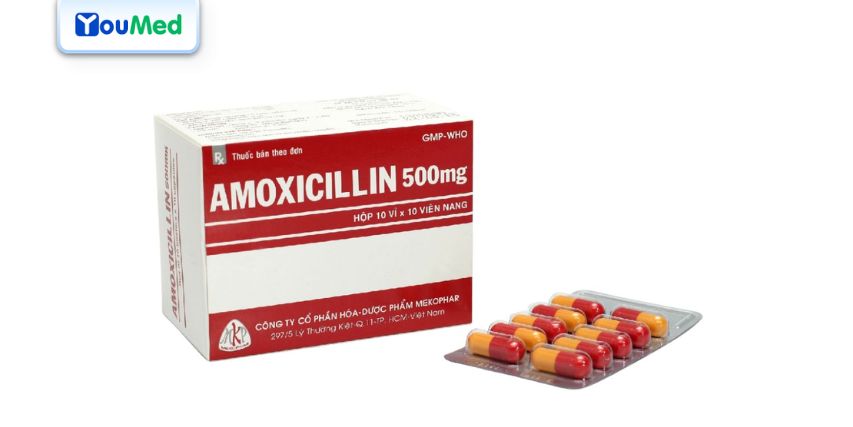 Kháng sinh Amoxicillin 500 mg Mekophar: Công dụng, cách dùng và lưu ý