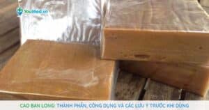 Cao ban long: Quà tặng quý giá của loài hươu