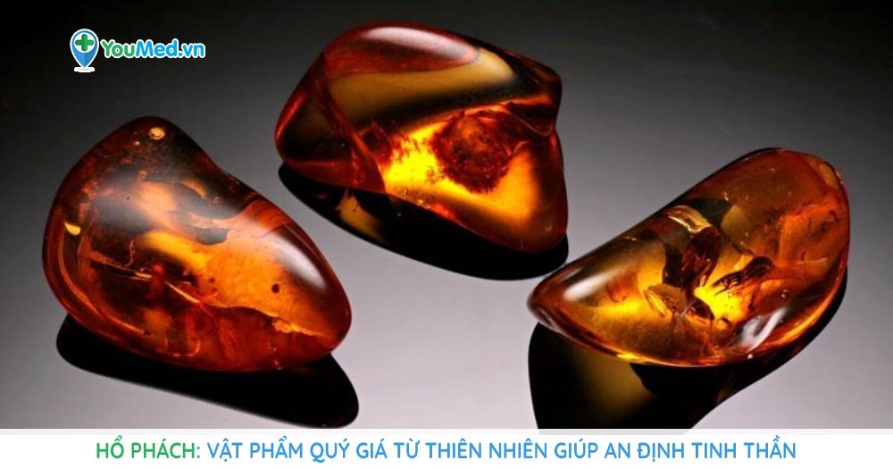 Hổ phách: Vật phẩm quý giá từ thiên nhiên giúp an định tinh thần
