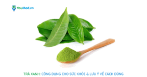 Trà xanh: Công dụng với sức khỏe & lưu ý về cách dùng