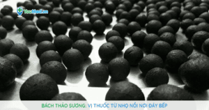 Bách thảo sương: Vị thuốc từ nhọ nồi nơi đáy bếp