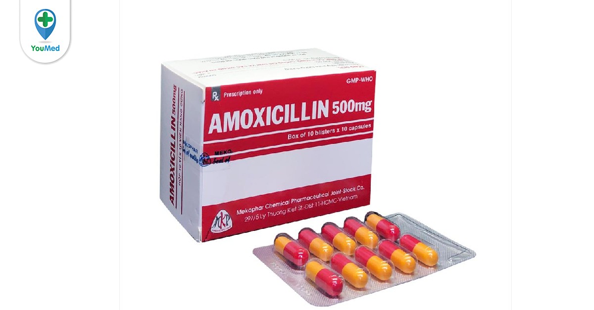 Amoxicillin 500mg là loại thuốc kháng sinh điều trị bệnh gì?
