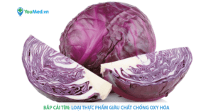 Bắp cải tím và những điều bạn cần biết