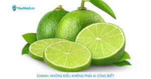 Chanh: Loại quả quen và những điều không phải ai cũng biết