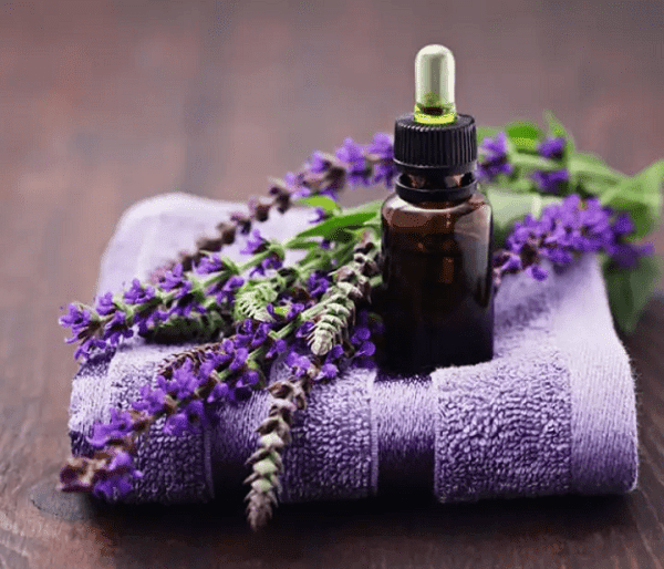 Tinh dầu lavender giúp làm giảm chứng đau đầu