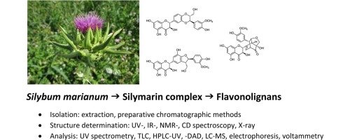 Silymarin Hợp chất hoá học cây Kế sữa