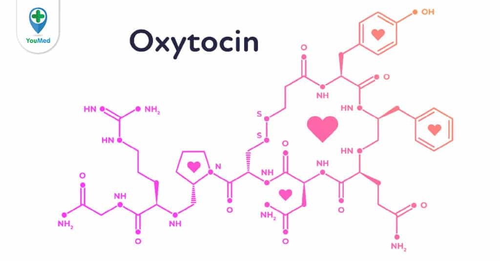 Hormone oxytocin: tác dụng và những triển vọng trong tương lai