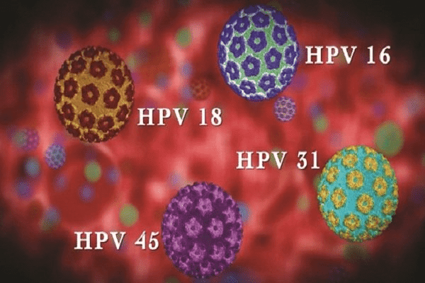  Virus HPV