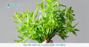 Rau ôm: Món gia vị chữa nhiều thứ bệnh