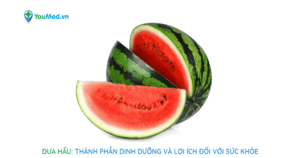 Dưa hấu: Thành phần dinh dưỡng và lợi ích đối với sức khỏe