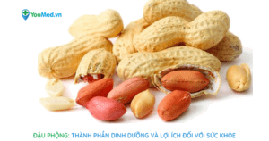 Đậu phộng: Thành phần dinh dưỡng và lợi ích đối với sức khỏe