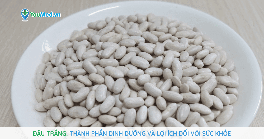 Đậu trắng: Thành phần dinh dưỡng và lợi ích đối với sức khỏe