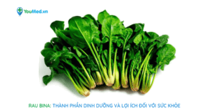 Rau Bina: Thành phần dinh dưỡng và lợi ích đối với sức khỏe