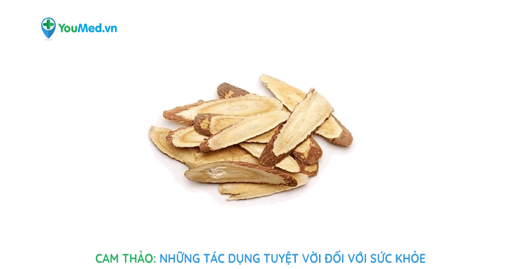 Cam thảo có tác dụng chữa trào ngược axit dạ dày không?
