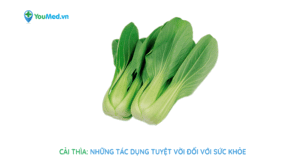 Rau cải thìa: nguyên liệu nấu ăn ngon và cực tốt cho sức khỏe