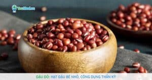 Đậu đỏ: Hạt đậu bé nhỏ, công dụng thần kỳ