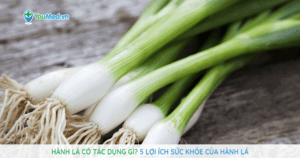 Hành lá có tác dụng gì? 5 lợi ích sức khỏe của hành lá