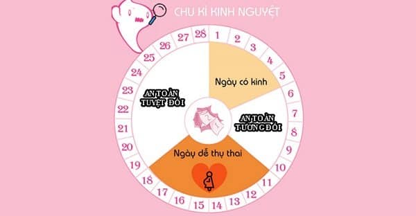 Dựa vào những cột mốc trong chu kỳ kinh nguyệt mà bạn có thể tính ngày an toàn để quan hệ nhằm tránh mang thai