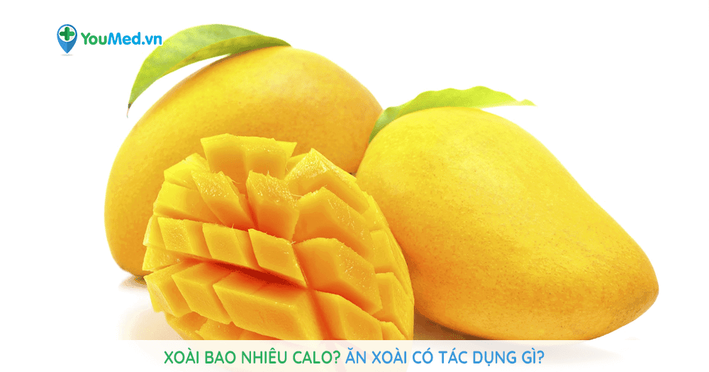 Xoài bao nhiêu calo? Ăn xoài có tác dụng gì? - YouMed