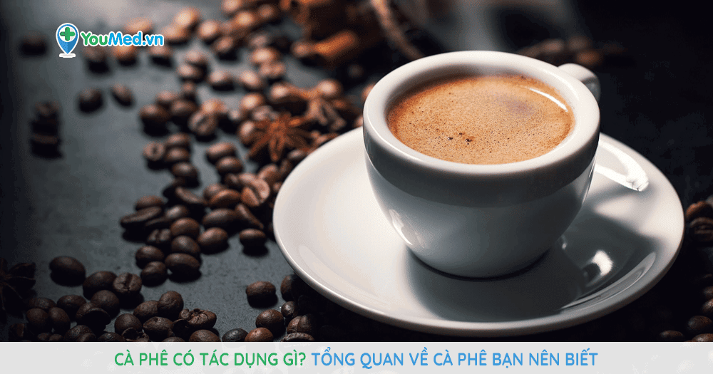 Cà phê có tác dụng gì? Tổng quan về cà phê bạn nên biết