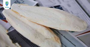 Ô tặc cốt: vị thuốc có nhiều công dụng từ loài mực