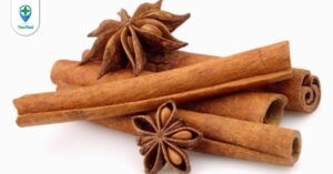 Cây Quế: Thảo dược cho những vị thuốc thơm nồng