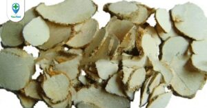 Tam lăng: vị thuốc tiềm năng trong điều trị các bệnh lý ứ huyết