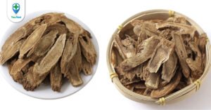 Mộc hương: Vị thuốc bổ dưỡng cho hệ tiêu hóa