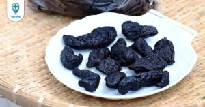 Thục địa: Vị thuốc có tác dụng bổ máu, bổ thận