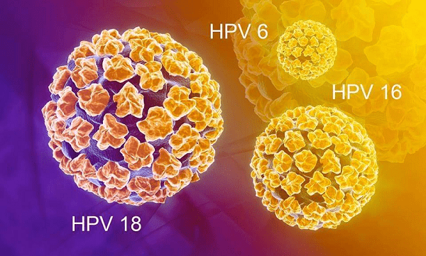 Các loại HPV