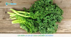 Cải xoăn là cải gì? Cách chế biến cải xoăn?