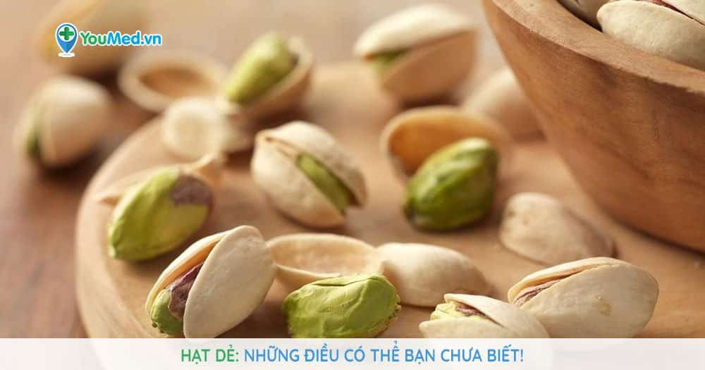 Hạt dẻ: Những điều có thể bạn chưa biết!